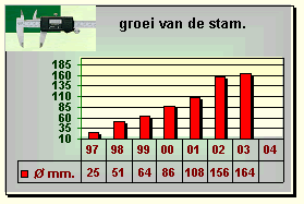 Grauwe Engelse Pippeling groei