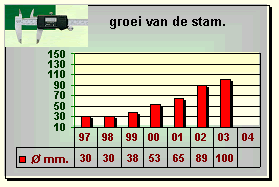 Present van Engeland groei