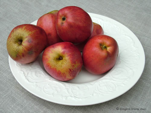Rode Tulpappel appels op bord