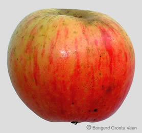 Zoete Pippeling appel