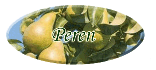 peren