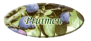pruimen