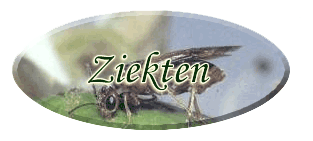 ziekten