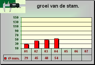 Kleipeer groei