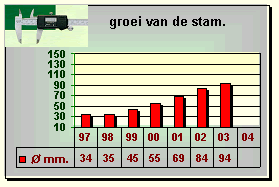 Noord- Hollandsche Suikerpeer groeigrafiek