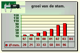 Zwijndrechtse Wijnpeer groeigrafiek