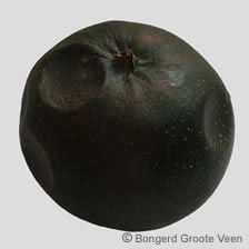 zwart