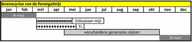 levenscyclus